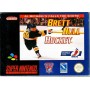 Brett Hull Hockey