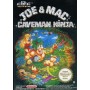 Joe & Mac: Caveman Ninja