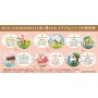 Acheter Pokémon - Terrarium Collection Happy Days - GameSpirit