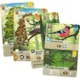 Acheter Forêt Mixte - Jeux de Société - GameSpirit
