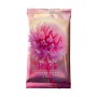 Acheter Boosters Collector- Candypocalypse - Edition Collector - Rise TCG - GameSpirit