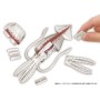 Acheter Puzzle - Demolition Calamar dans votre magasin GameSpirit